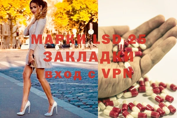 спиды Аркадак