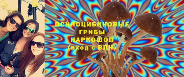 спиды Аркадак