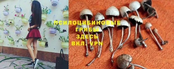 спиды Аркадак