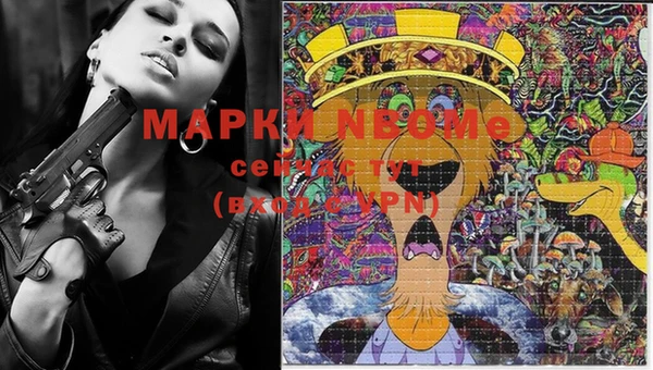 спиды Аркадак
