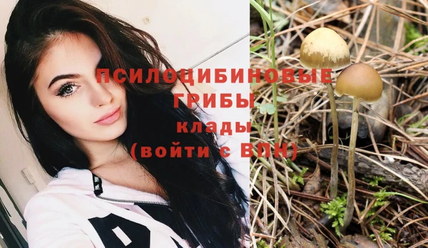 тгк Арсеньев
