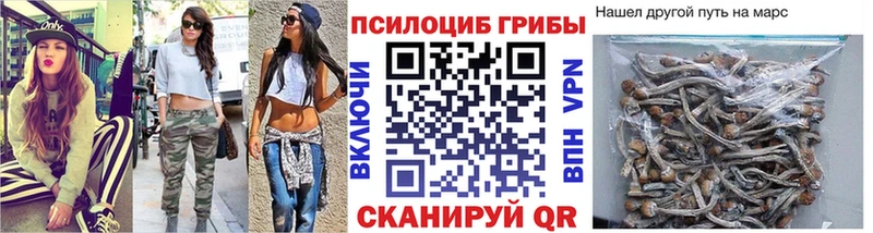 Галлюциногенные грибы Psilocybe  купить наркотики сайты  blacksprut зеркало  Дюртюли 
